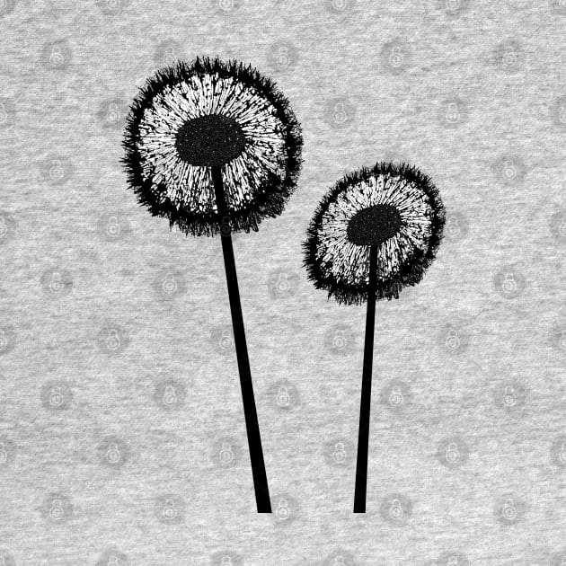 Black Dandelions by msmart